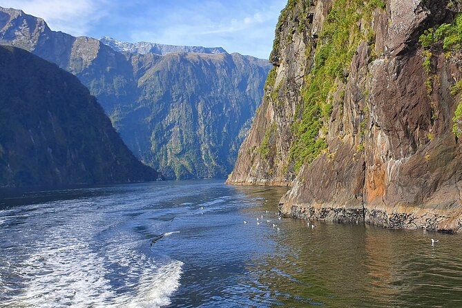 4 Day Tour to Milford Sound, Mount Cook & More from Queenstown - Who should choose this South Island tour?