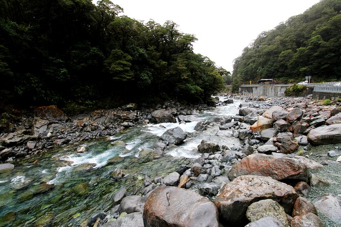 5 Day South Island Tour from Queenstown including Stewart Island - Day 3: Foveaux Strait and Stewart Island