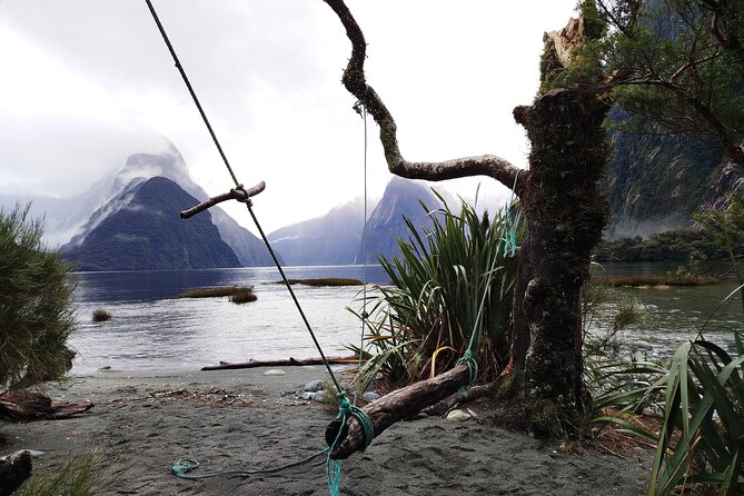 5 Day South Island Tour from Queenstown including Stewart Island - Day 4: Lindis Pass, Aoraki Mount Cook, and the night sky