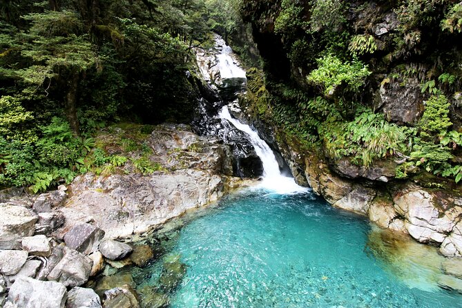 5 Day South Island Tour from Queenstown including Stewart Island - What the $3,164.92 price really covers