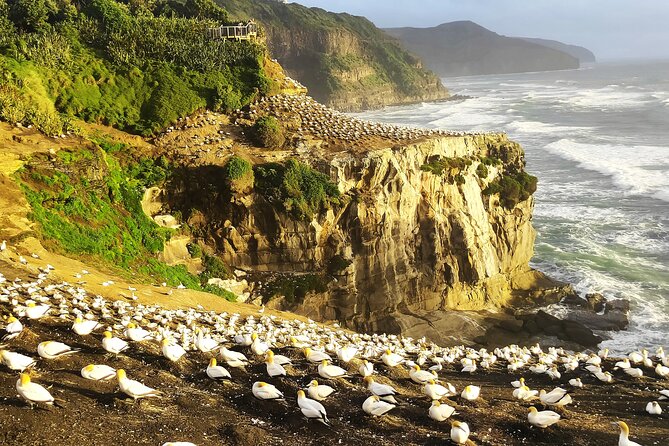 9 Day South to North Island NZ Private Tour from Queenstown - Day 2: Queenstown views and built-in adventure