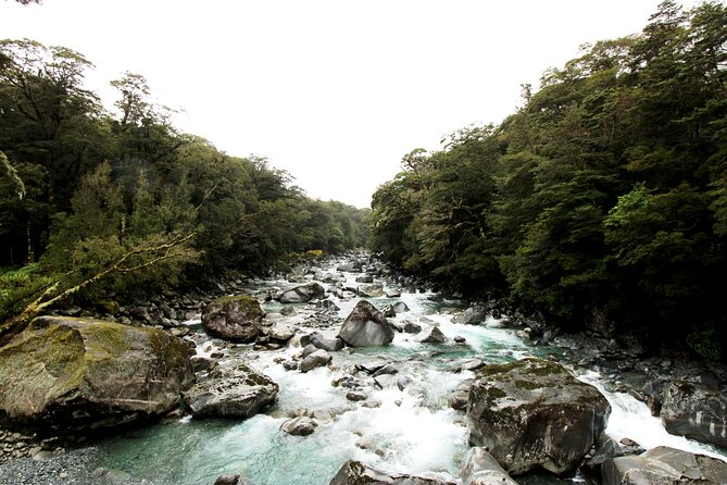 9 Day South to North Island NZ Private Tour from Queenstown - Day 6: Christchurch, the flight north, and Rotorua