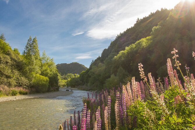 Arrowtown to Queenstown Bike Tour with Shuttle - Lake Wakatipu and the final approach