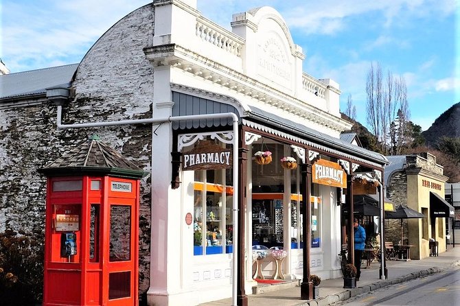 Arrowtown Wanaka Private Day Tour from Queenstown - That Wanaka Tree is a quick but worthwhile photo stop