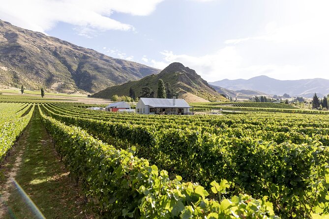 Award Winning Premium Wine Tour Queenstown Tasting at 4 Wineries - Second stop: Kinross for several labels and lunch