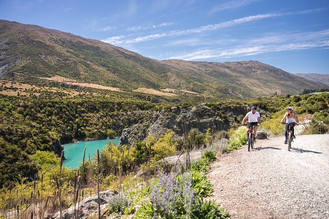 Bike The Wineries (1/2 Day) - Quick Pedal to Pinot - The Church Cellar Door and Cafe