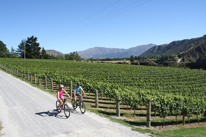 Bike The Wineries (3/4 Day) - Ride Through Queenstown Vineyards - Gibbston Valley Winery