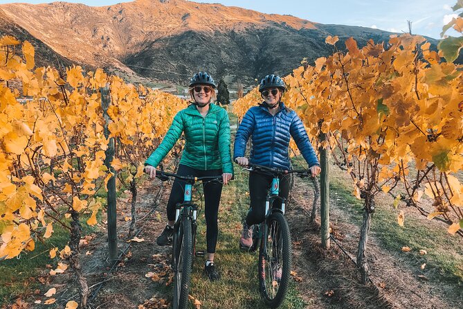 Bike The Wineries (Full-Day) - Bike & Wine Tour - Gibbston Valley and the freedom to choose