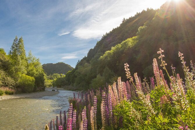 Bike & Wine Tour: Arrowtown to Valley of the Vines - What the $73.85 price includes