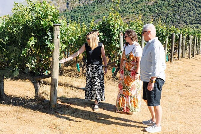 Boutique Wine Tour - visit Central Otago, 4 Wineries & Lunch - How much value do you get for $173.14?