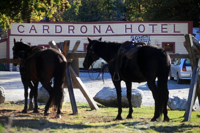 Cardrona High Country Pub Trail Horse Riding Trek (Intermediate+) - A Mountain Ride With a Pub in the Middle
