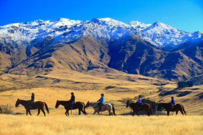 Cardrona High Country Pub Trail Horse Riding Trek (Intermediate+)