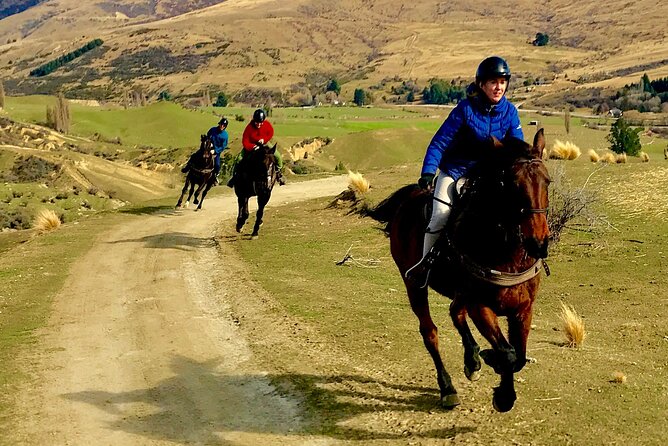 Cardrona High Country Pub Trail Horse Riding Trek (Intermediate+) - Is the $365.29 Price Fair?