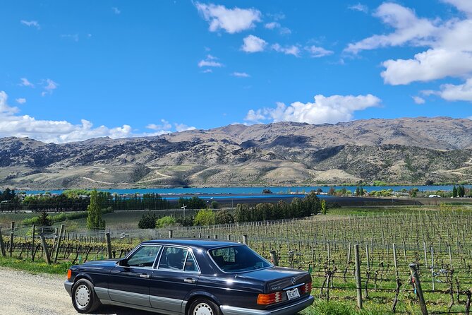 Cromwell Wine Tasting Tour using Classic Car - The 10 a.m. start and four to five hour rhythm