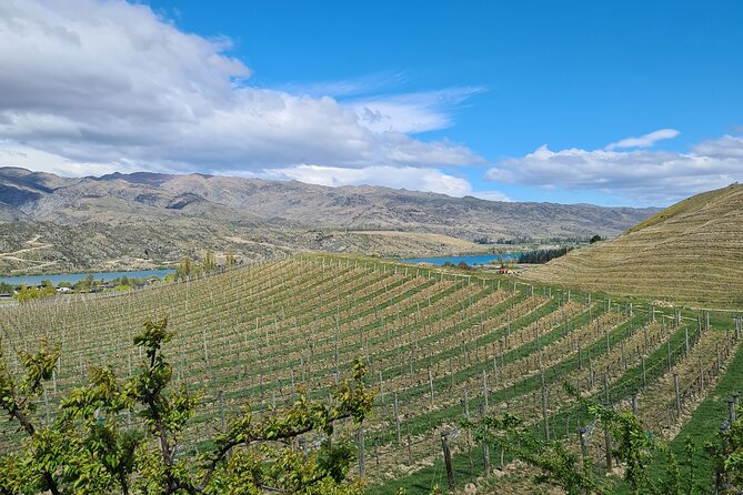 Cromwell Wine Tasting Tour using Classic Car - What you see in Central Otago