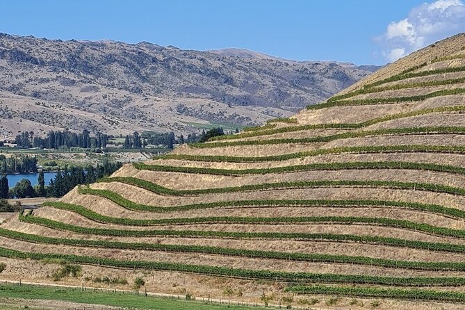 Cromwell Wine Tasting Tour using Classic Car - Who should book this Cromwell wine tour?