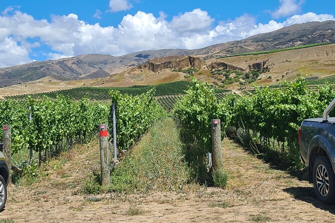 Cromwell Wine Tasting Tour using Classic Car - A classic Mercedes changes the tone of the trip