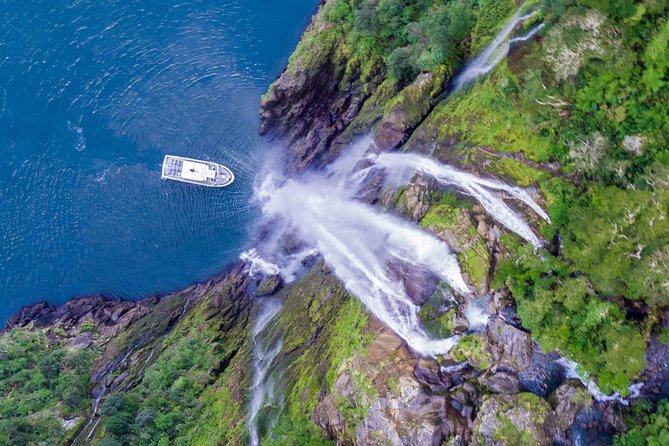 Cruise Milford Small Group Day Tour from Queenstown - What the $228.99 price gives you