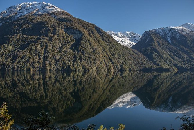 Cruise Milford Small Group Day Tour from Queenstown - Te Anau gives you a needed pause