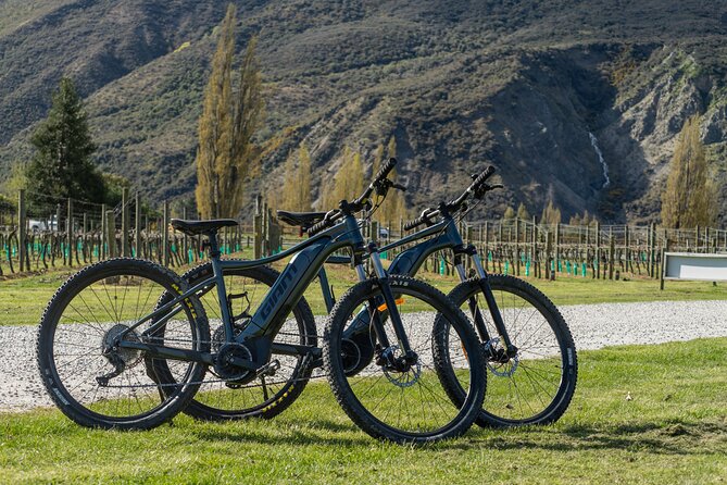 E-Bike Adventures Through the Wineries in Gibbston - From Queenstown to the Arrow River trail