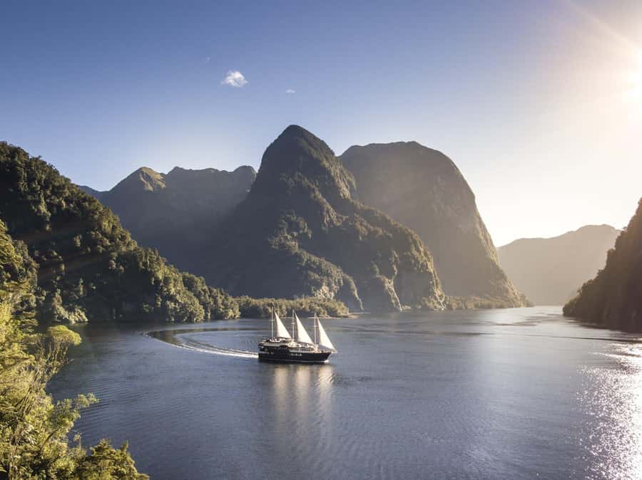 From Queenstown: Doubtful Sound Wilderness Day Trip - Wilmot Pass and Fiordland rainforest