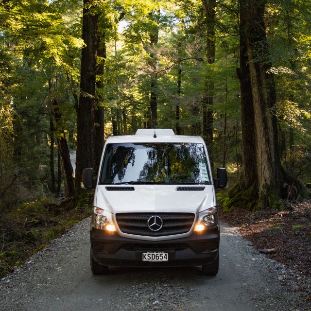 From Queenstown: Glenorchy and Paradise Scenic Half-Day Tour - Weather, walking, and practical comfort