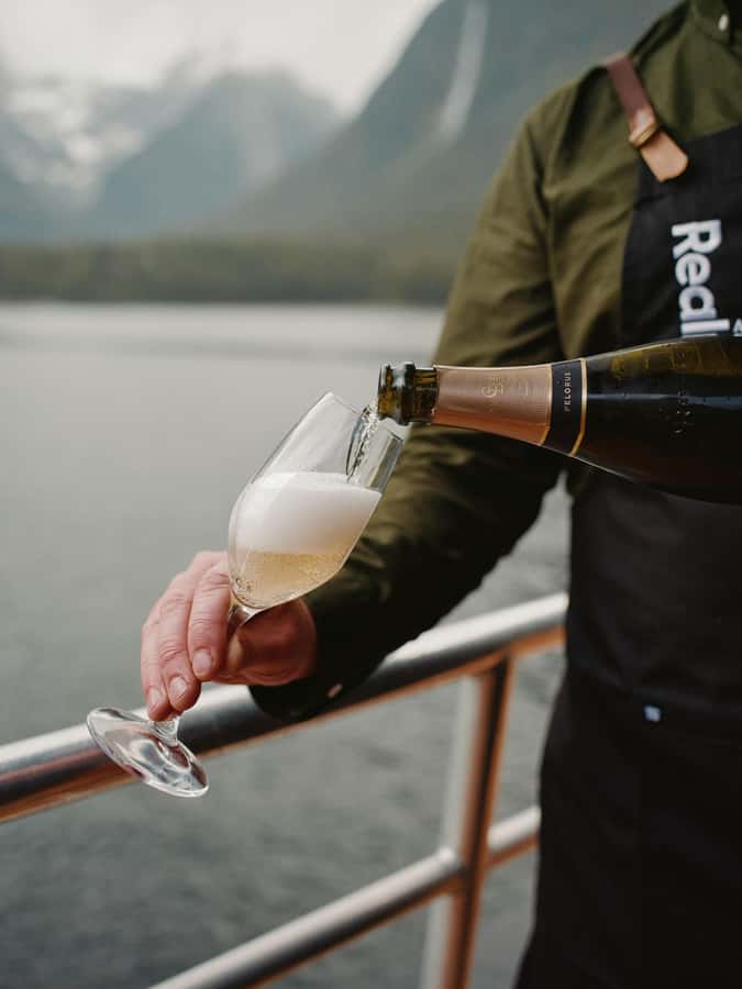 From Queenstown: Milford Sound Business Class with Cruise - The Milford Sound Road with a guide