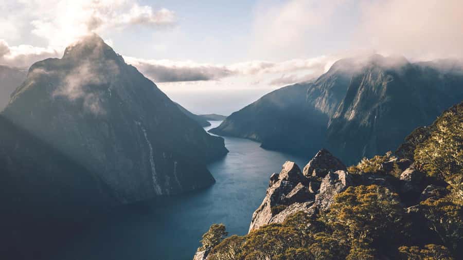 From Queenstown: Milford Sound Business Class with Cruise - Choosing your return to Queenstown