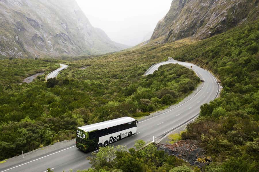 From Queenstown: Milford Sound Cruise and Coach Day Trip - Key points to know before booking