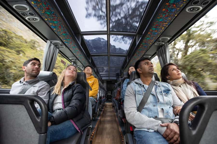 From Queenstown: Milford Sound Cruise & Scenic Coach Tour - Waterfalls, seals, dolphins, and penguins