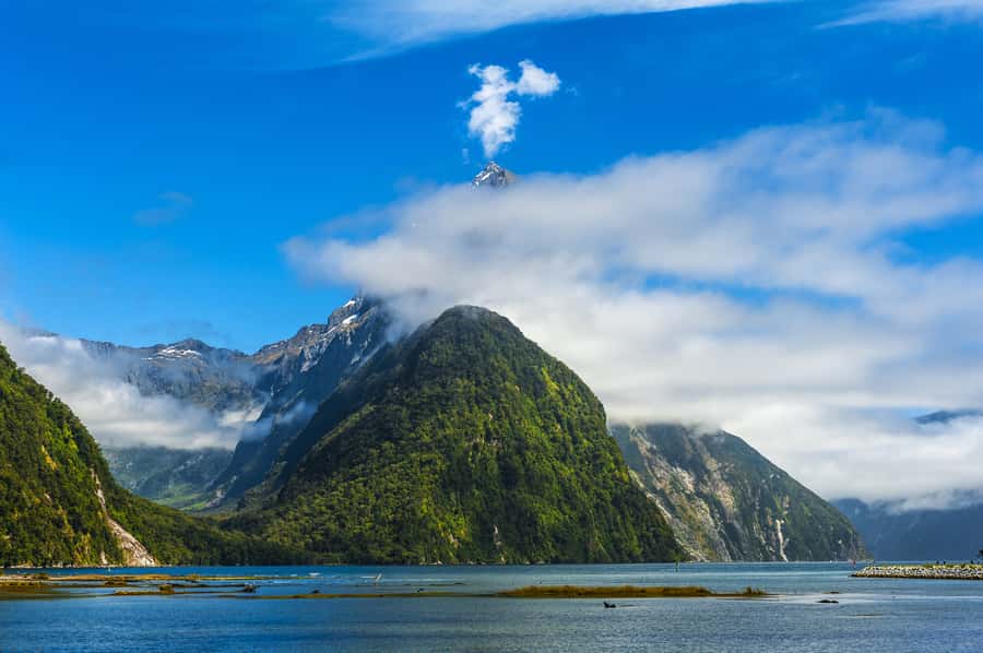 From Queenstown: Milford Sound Cruise & Scenic Coach Tour - Mirror Lakes and the Eglinton Valley