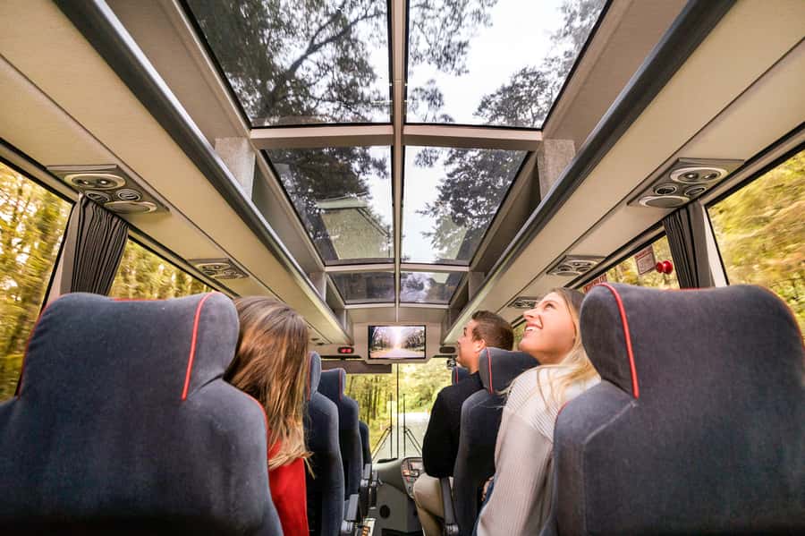From Queenstown: Milford Sound Day Trip on Premium Coach - Eglinton Valley shows the scale of Fiordland