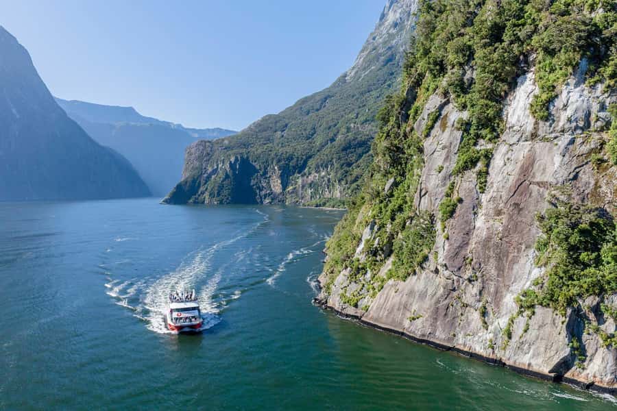 From Queenstown: Milford Sound Day Trip on Premium Coach - Monkey Creek adds a chance of seeing kea