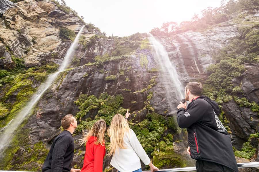 From Queenstown: Milford Sound Day Trip on Premium Coach - The two-hour nature cruise is the main event