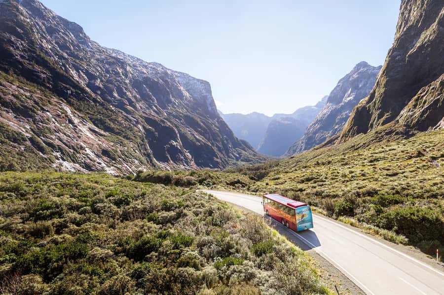 From Queenstown: Milford Sound Day Trip on Premium Coach - The return ride needs realistic expectations