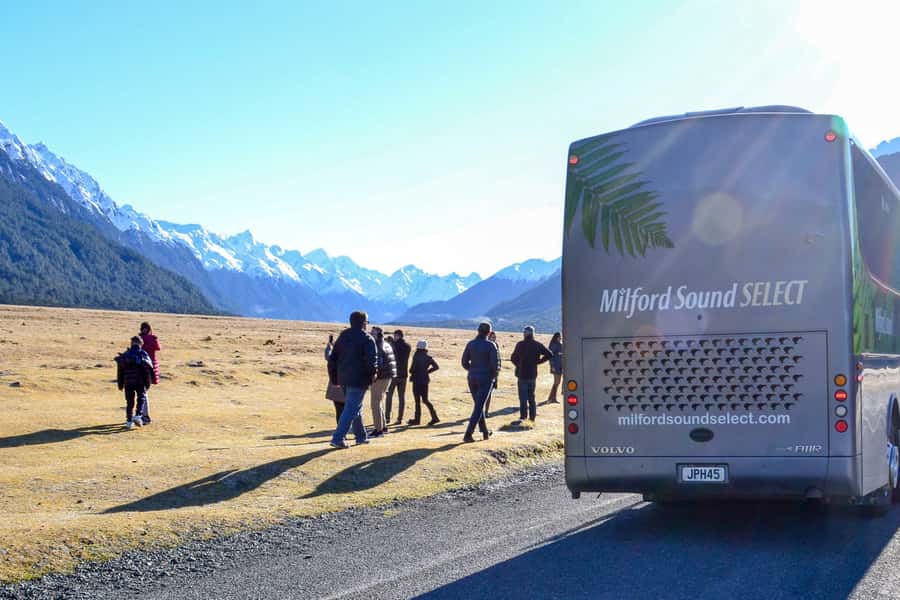 From Queenstown: Milford Sound Premium Day Tour and Cruise - Mirror Lakes and the rainforest boardwalk