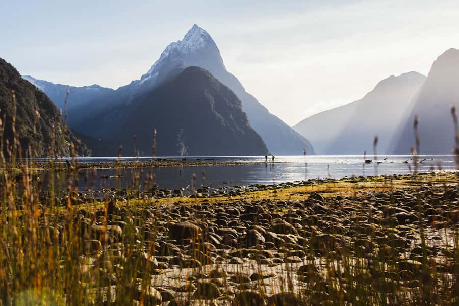 From Queenstown: Milford Sound Scenic Flight & Nature Tour - Lunch with a view at Milford Sound