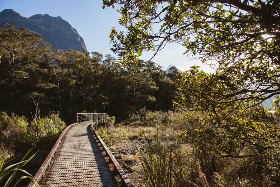 From Queenstown: Milford Sound Scenic Flight & Nature Tour - The return flight to Queenstown