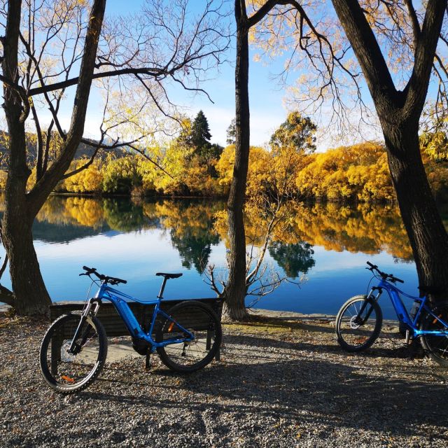 From Queenstown: 'Valley of the Vines' Wine and Bike Tour - Key points to know before you book