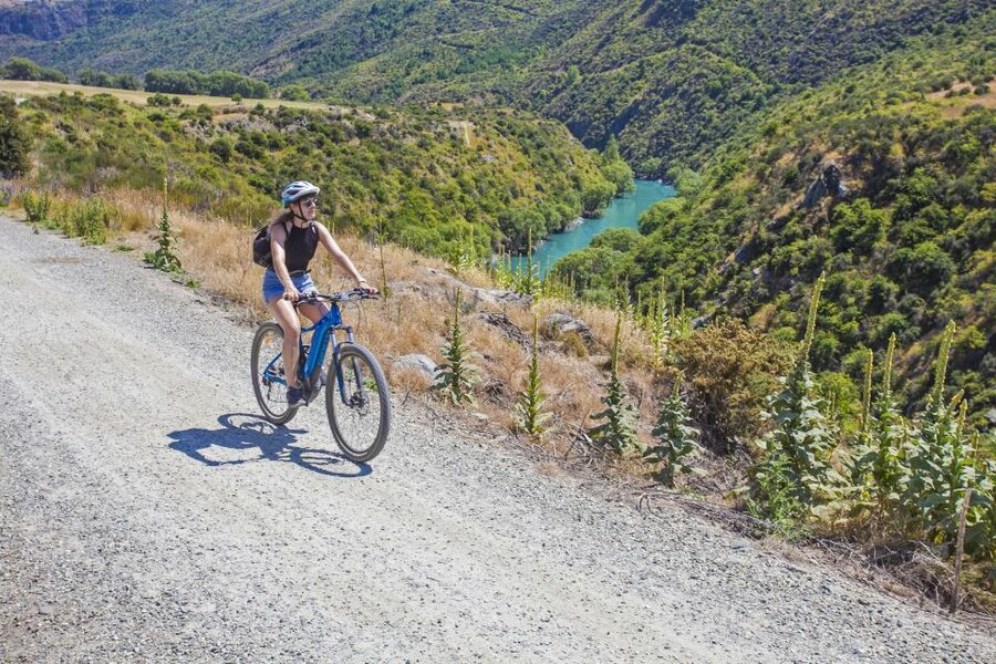 From Queenstown: 'Valley of the Vines' Wine and Bike Tour - From Queenstown to Arrowtown’s gold-mining streets