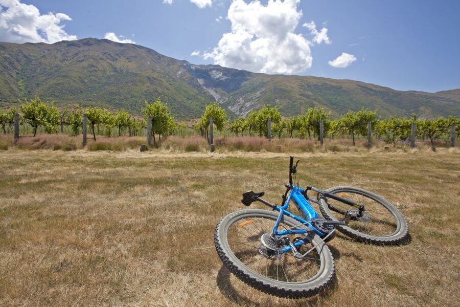 From Queenstown: 'Valley of the Vines' Wine and Bike Tour - Arrow River, bridges, and the Kawarau views