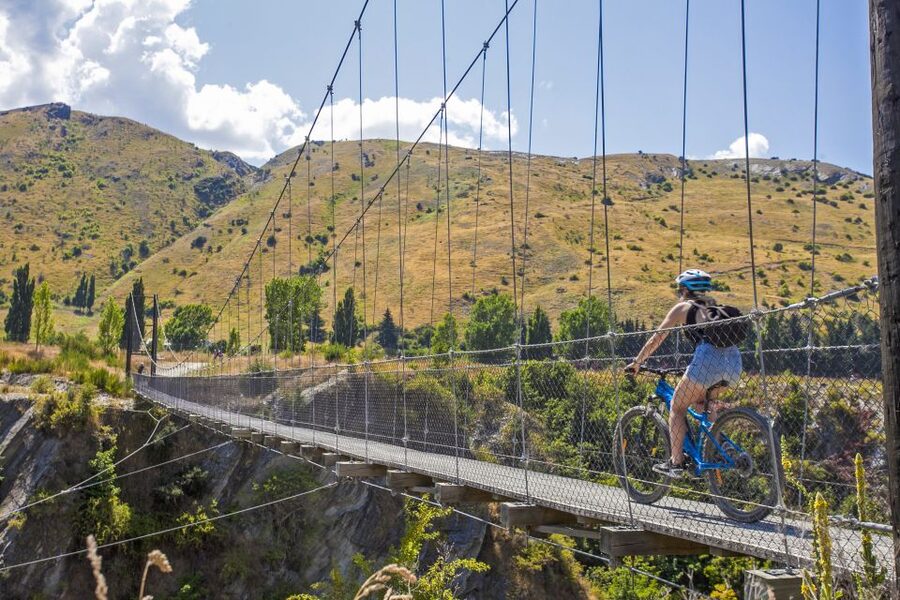 From Queenstown: 'Valley of the Vines' Wine and Bike Tour - Brunch, wineries, and the Gibbston Valley