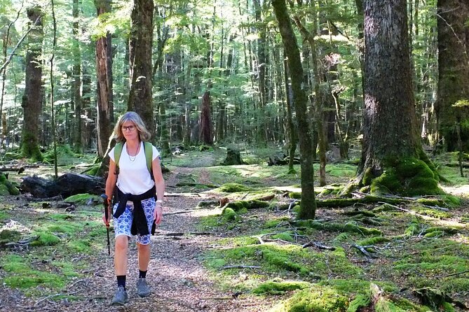 Full-Day Small-Group Routeburn Valley Hike - Practical details that matter on the day