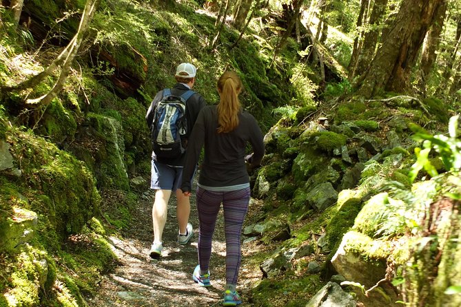 Full-Day Small-Group Routeburn Valley Hike - Leaving Queenstown for Lake Wakatipu