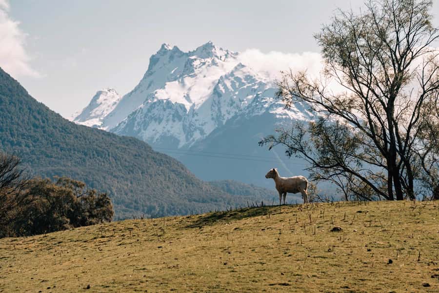 Glenorchy: 4WD Lord Of the Rings Tour Half-Day - Price, duration, and what you receive