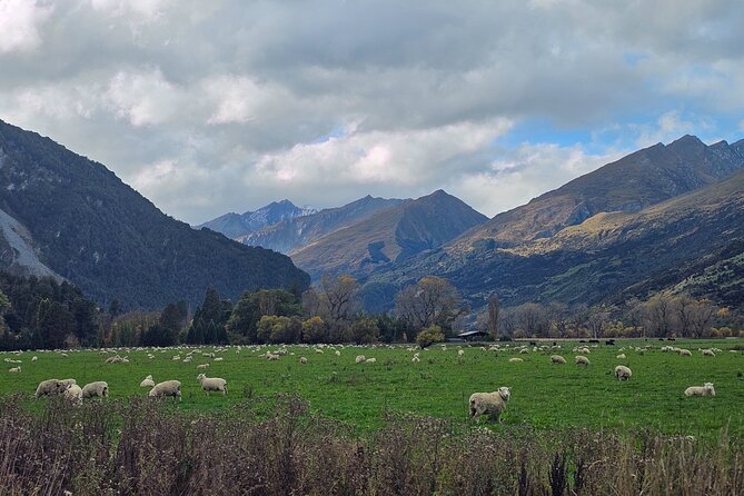Glenorchy Private Day Trip from Queenstown: TravelnGo - Bennett’s Bluff delivers the classic mountain view