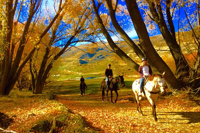 Gold Discovery Trail Horse Trek Cardrona - Most popular! - Riding into Cardrona’s gold-rush country