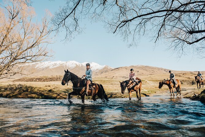 Gold Discovery Trail Horse Trek Cardrona - Most popular! - The Cardrona Valley route