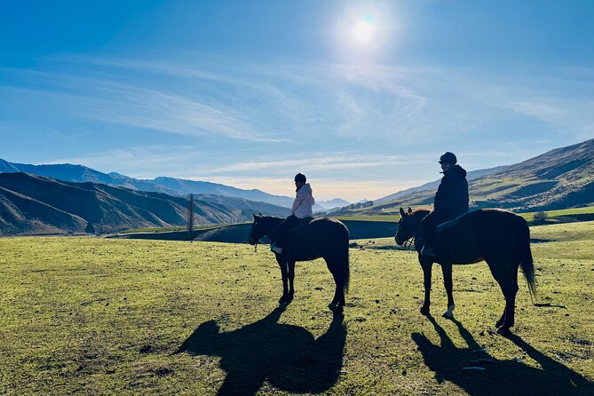 Gold Discovery Trail Horse Trek Cardrona - Most popular! - Is the $309.67 price fair?