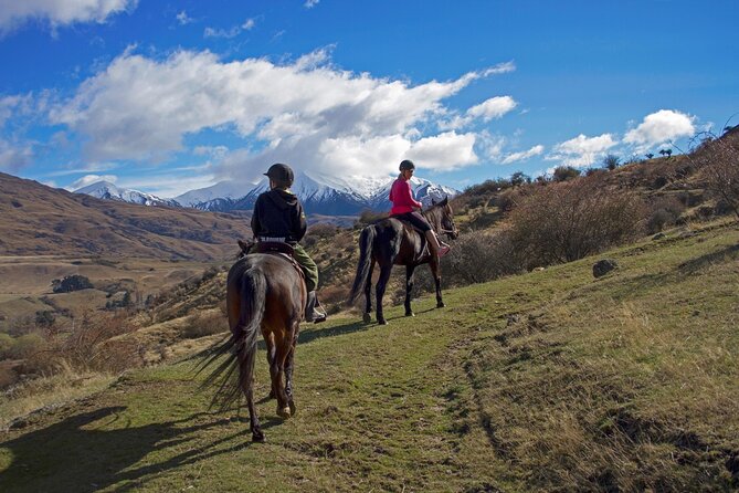 Gold Discovery Trail Horse Trek Cardrona - Most popular! - Meeting the horses before the trail